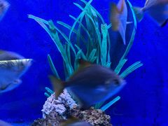 -沈阳海洋探索中心