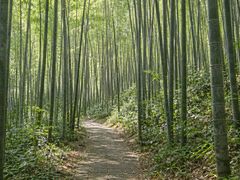 -黄公望隐居地
