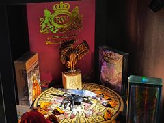 -雪灵魔法世界SHELLY’S TAROT(大良桂畔里店)