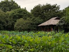 -茅家埠