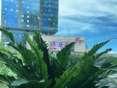 -鹿岛会员店 (龙湖三千集天街店)