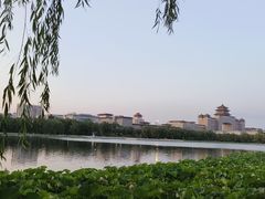 -莲花池公园