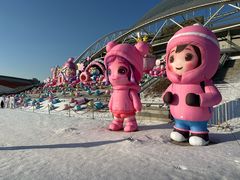 -沈阳奥体冰雪嘉年华