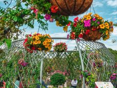 -上海植物园-4号门售票处