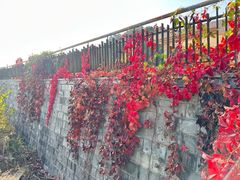 -云蒙山风景区