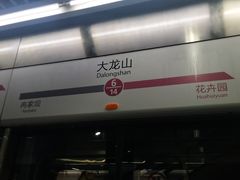 -大龙山(地铁站)