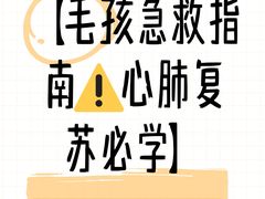-立德24H动物医院·夜诊·转诊中心·1.5T核磁共振(海珠店)
