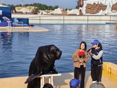 -秦皇岛乐岛海洋王国