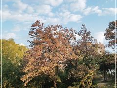 -元大都城垣遗址公园