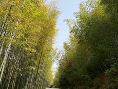 -九龙潭景区