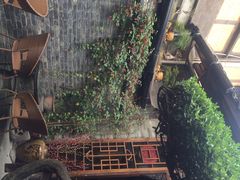 iphone_upload_pic-恺庐茶园(宽窄巷子景区店)