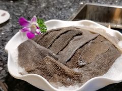 -二荆条·蜀鲜汇城市森林火锅