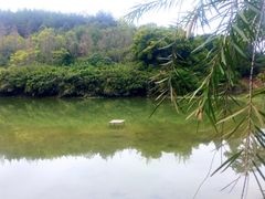 -九鲤湖风景区