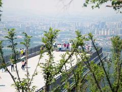 -紫金山山顶公园