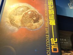 -国家自然博物馆