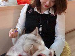 -Husky Go! 哈士奇体验馆·宠物咖啡厅狗咖