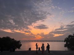 -宝安西湾红树林湿地公园