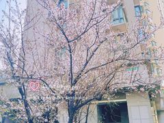 -苏州河梦清园环保主题公园