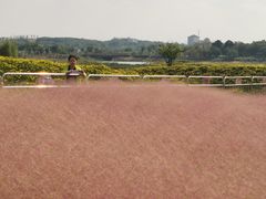 -苏州吴中太湖旅游区