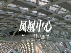 -凤凰中心