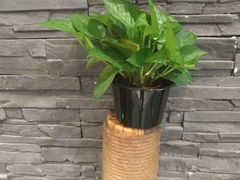 -南拳十三姨·潮汕砂锅粥(世纪金源店)