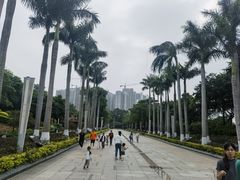 -五通灯塔公园