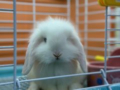 -三旗百汇商品城