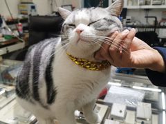 -百金通黄金回收首饰定制维修(珠江路总部)