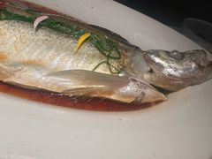 -醉庐·新上海菜(南京西路店)