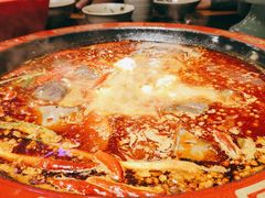 -蜀辣居鲜货老火锅(双流万达店)