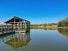 -溱湖国家湿地公园