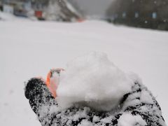 -神农架景区-天燕滑雪场