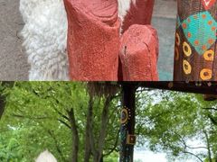 -上海野生动物园