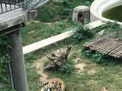 -石家庄市动物园