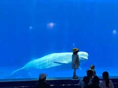 -石林冰雪海洋世界