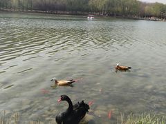-河北省园博园