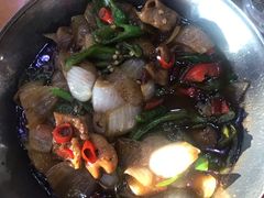 -全乐鱼馆·淳牌有机鱼直营店
