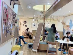-滚猫咖啡·猫咖·猫友好撸猫(未来城店)