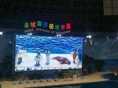 -泉城欧乐堡海洋极地世界