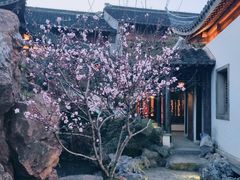 -芥子园