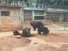 -昆明动物园