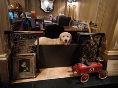 -火车头法国西餐厅