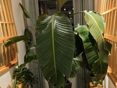 -瓦舍茶馆(聚源路店)