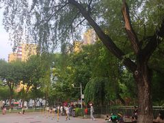 -双榆树公园