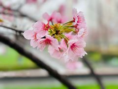 -静安雕塑公园