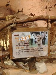-奇幻萌宠部落(映月湖环宇城店)