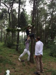 iphone_upload_pic-费拉摄影(天廊T66店)