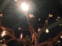 -梧桐树下(云锦世家店)