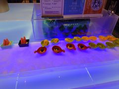 -福州天元国际威斯汀酒店·中国元素餐厅