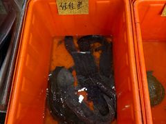 -华威西营里农产品批发市场